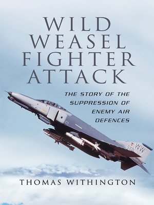 cover image of Wild Weasel Fighter Attack